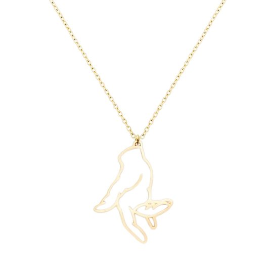 Dar�ek N�hrdeln�k Biird Jouissance Club zlat�